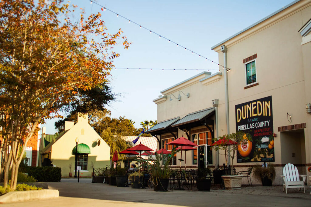 Dunedin FL-Elite Metal Roofing Contractors of Clearwater